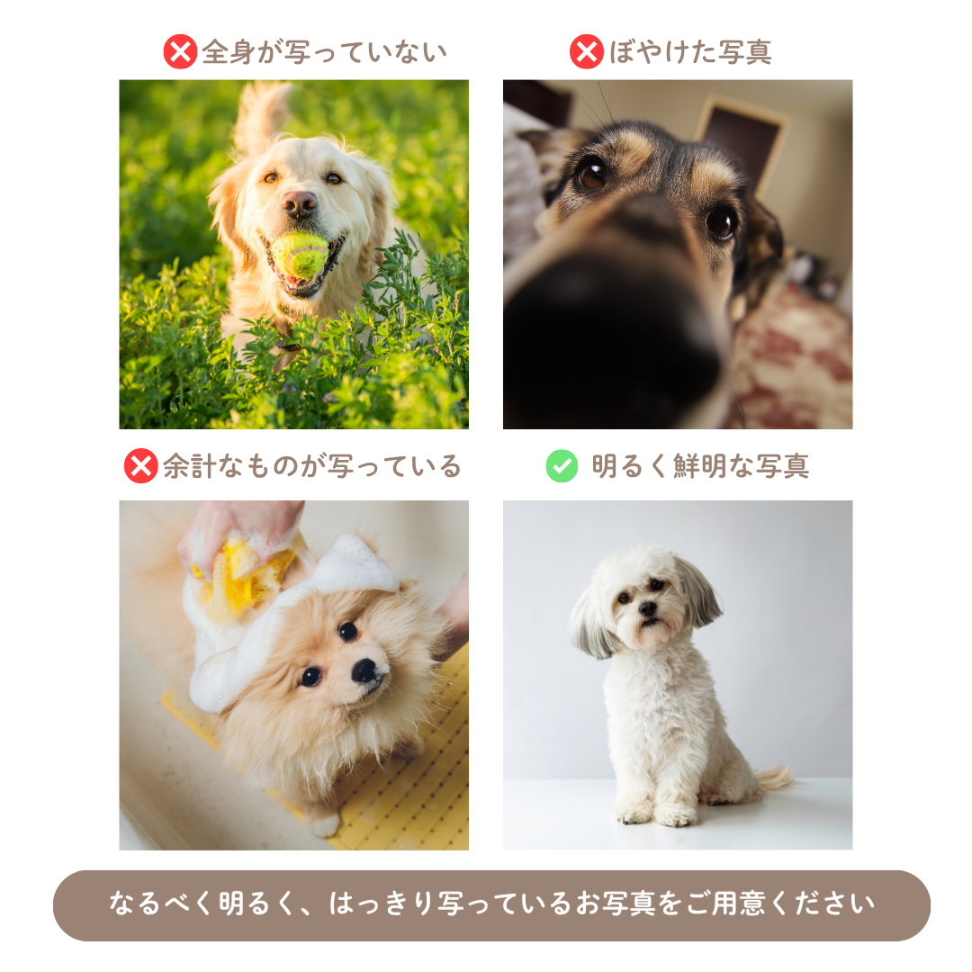 【ウチのコCASE】ペット写真 × カスタム ネーム 印字 クリア フォトケース｜iPhone対応 #241008