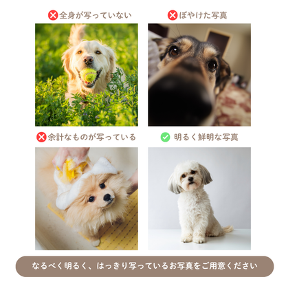 【ウチのコCASE】ペット写真 × カスタム ネーム 印字 クリア フォトケース｜iPhone対応 #241008